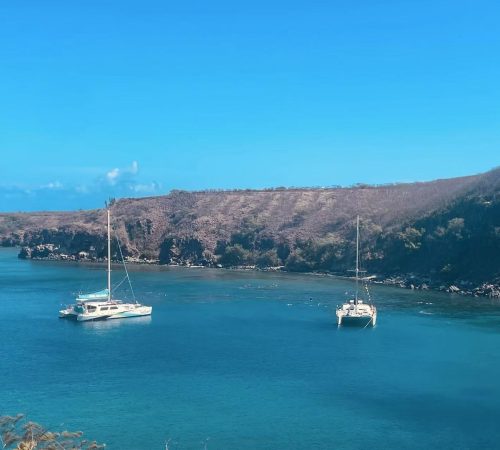 70029781-c4df-400a-b073-2978aebf0de9